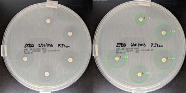 What is the purpose of the Girl Rising campaign?